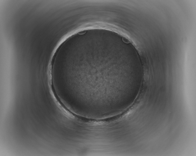 X0000113311522200909141301