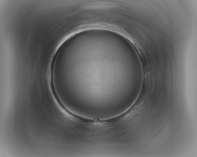 X0000113311523200909141301