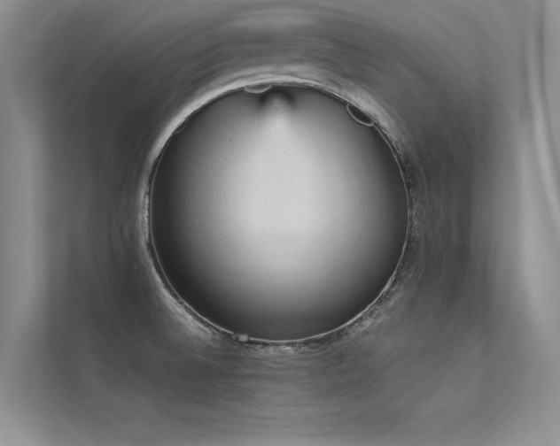 X0000113311524200909141301