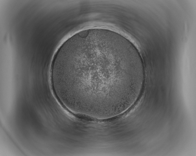 X0000113311525200909141301