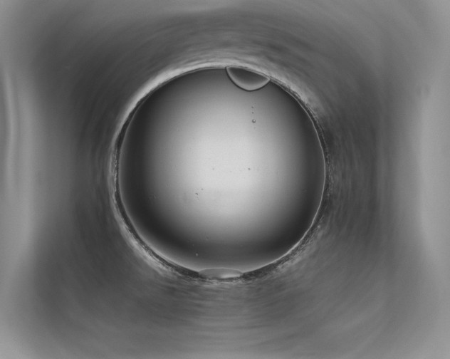 X0000113311526200909141301