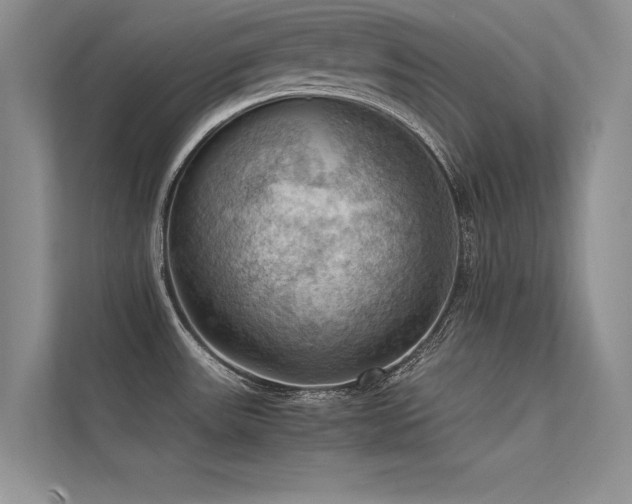 X0000113311531200909141301