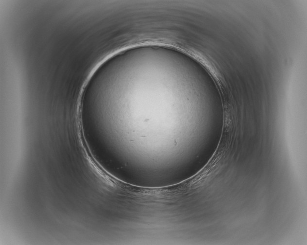 X0000113311532200909141301