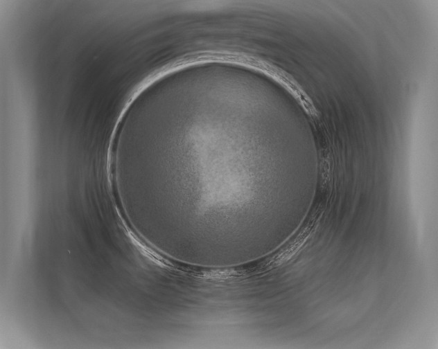 X0000113311535200909141301