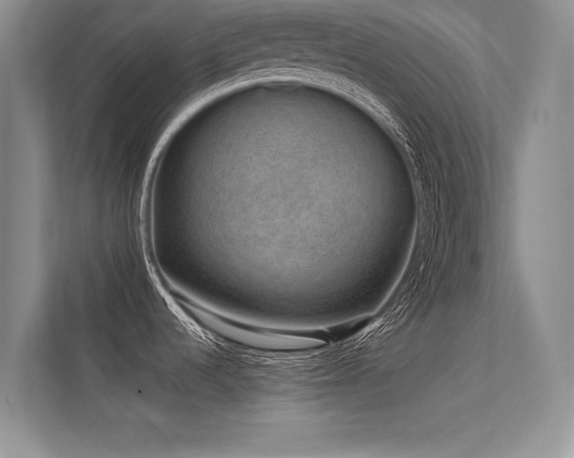 X0000113311536200909141301