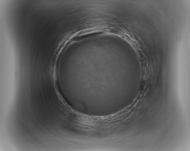 X0000113310002200909211151