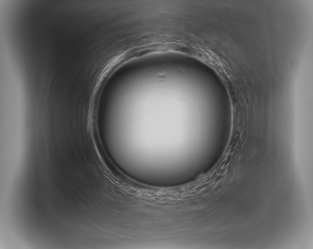 X0000113310003200909211151