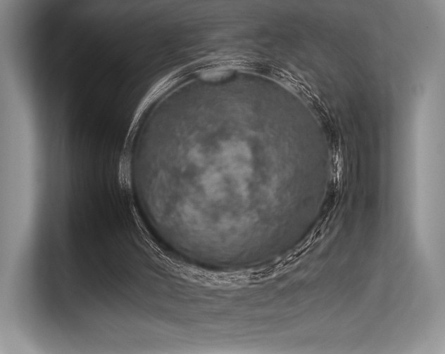 X0000113310004200909211151