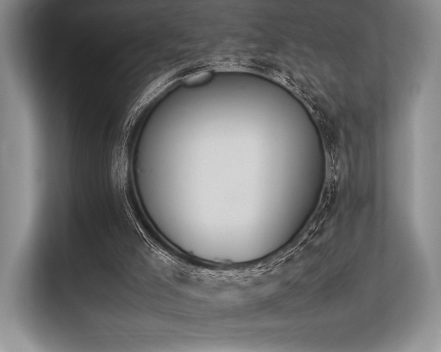 X0000113310005200909211151