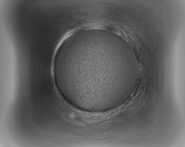 X0000113310006200909211151