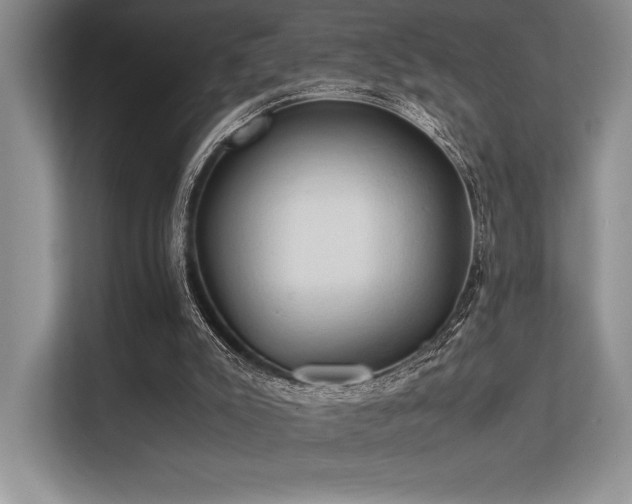 X0000113310007200909211151