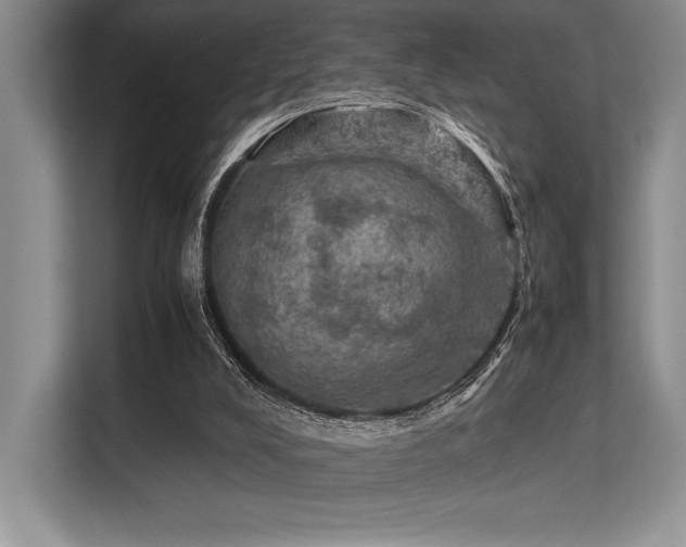 X0000113310008200909211151