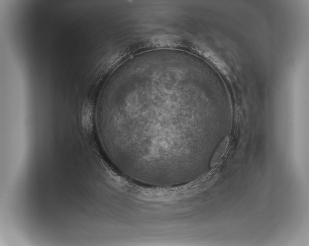 X0000113310009200909211151