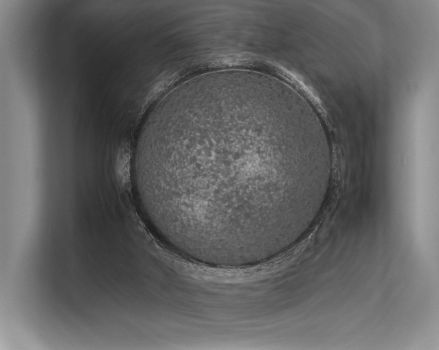 X0000113310010200909211151