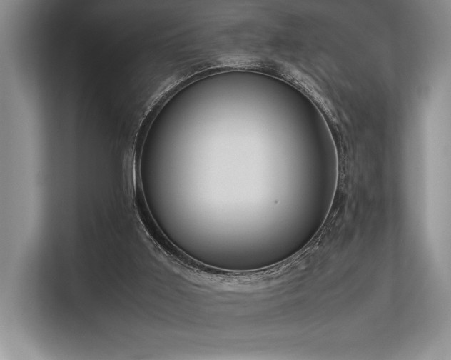 X0000113310011200909211151