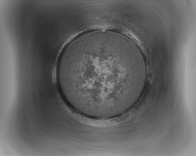 X0000113310012200909211151