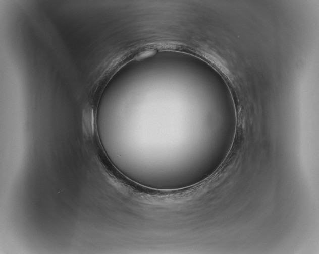 X0000113310013200909211151