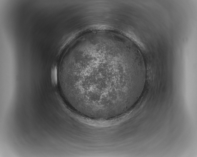 X0000113310014200909211151