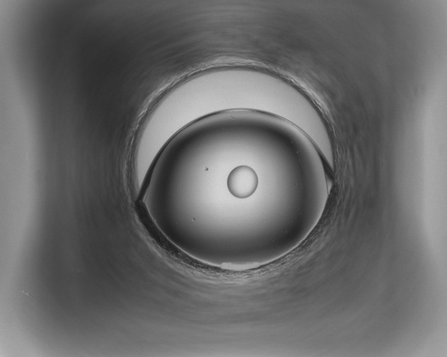 X0000113310015200909211151