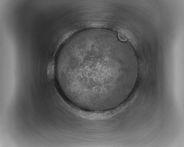 X0000113310016200909211151