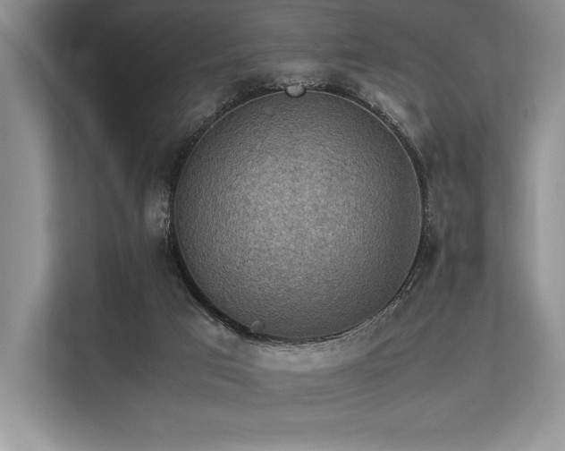 X0000113310017200909211151