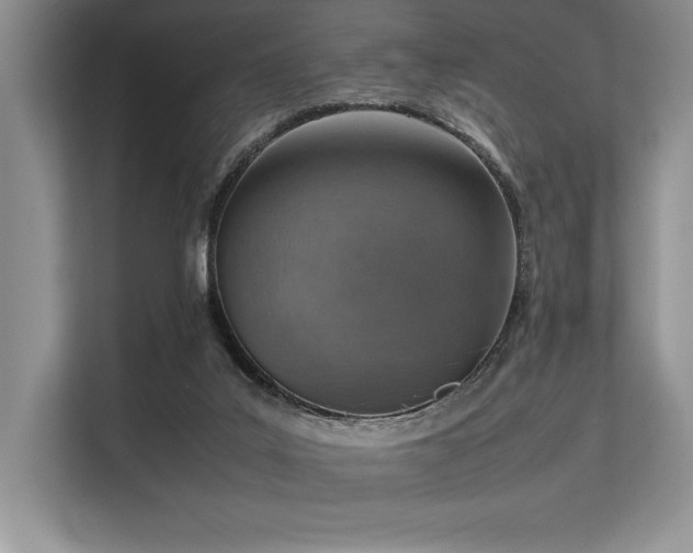 X0000113310019200909211151