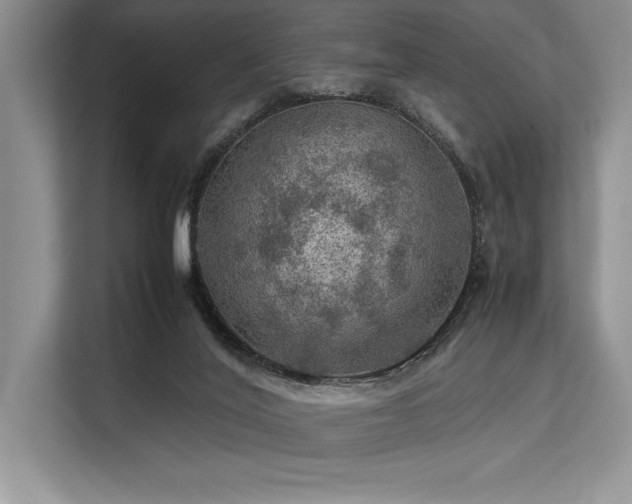 X0000113310020200909211151