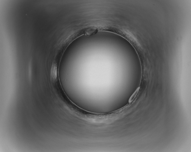 X0000113310021200909211151