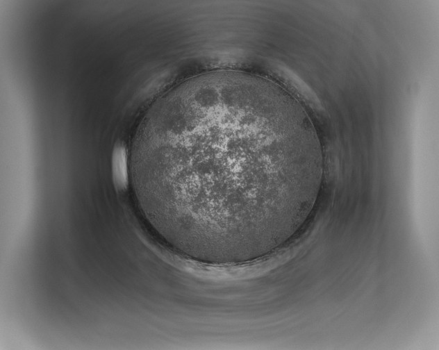 X0000113310022200909211151