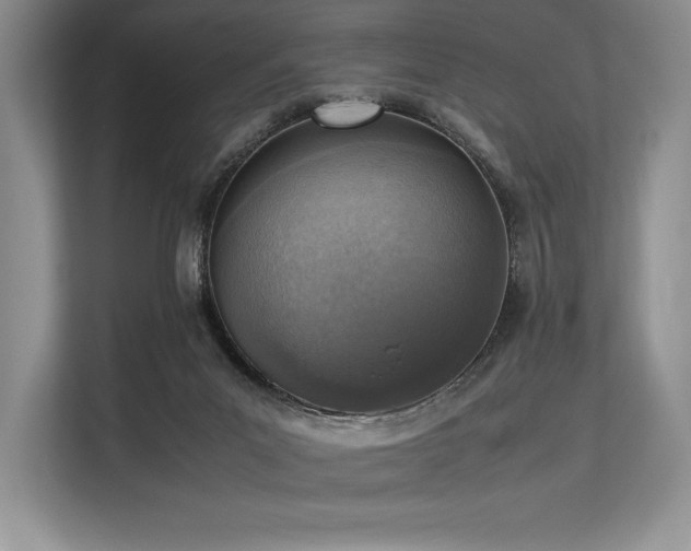 X0000113310023200909211151