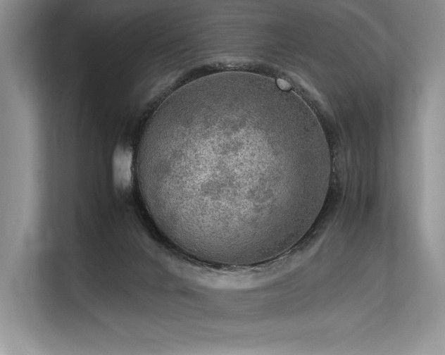 X0000113310024200909211151