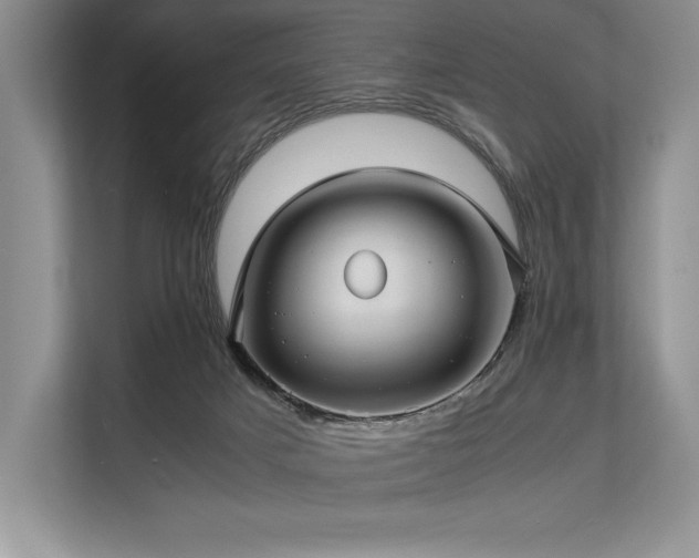 X0000113310025200909211151