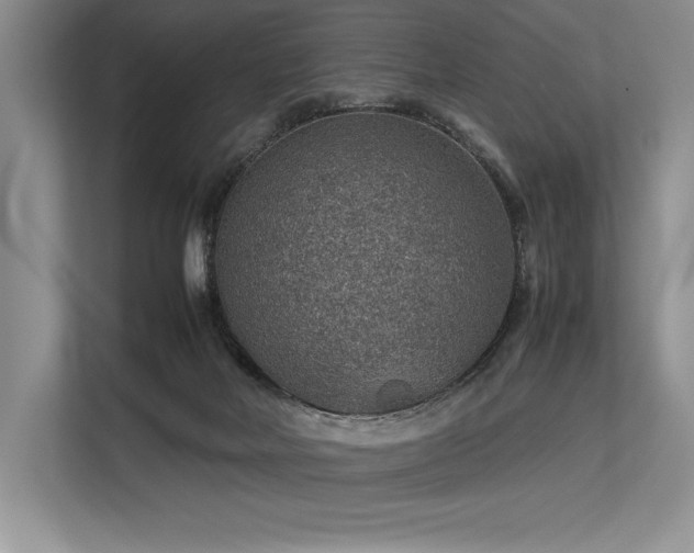 X0000113310026200909211151