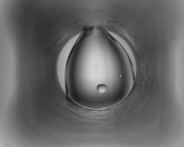 X0000113310027200909211151