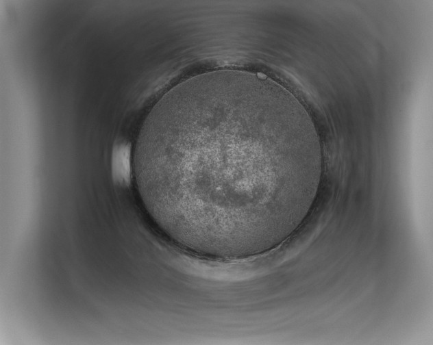 X0000113310028200909211151