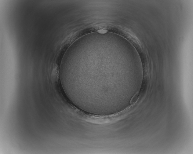 X0000113310029200909211151