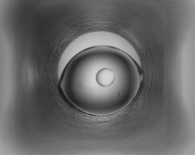 X0000113310031200909211151