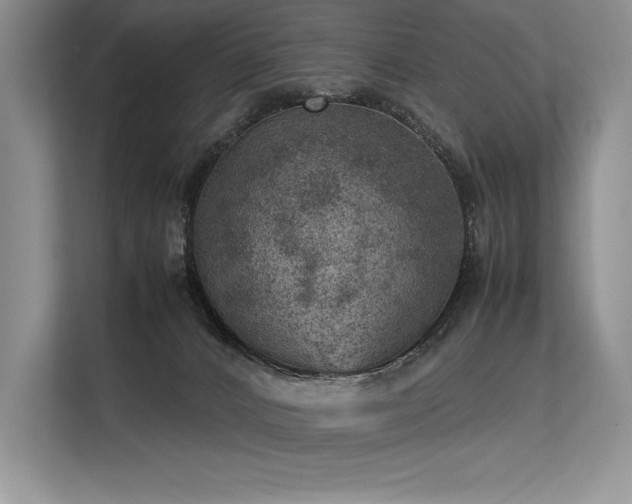 X0000113310032200909211151