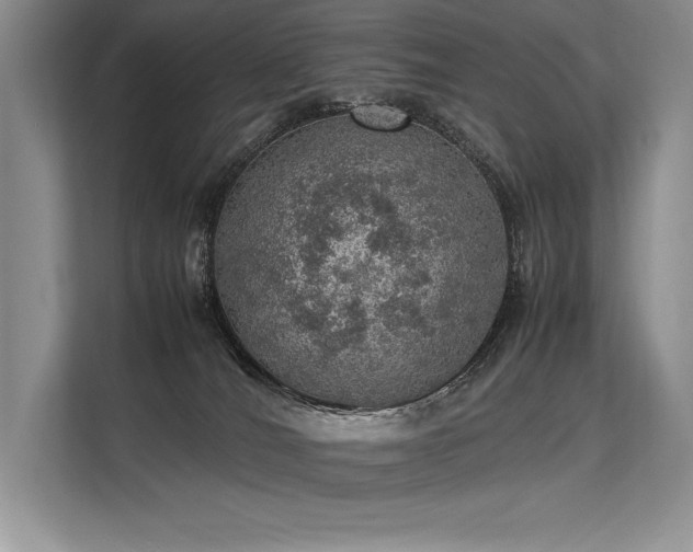 X0000113310036200909211151