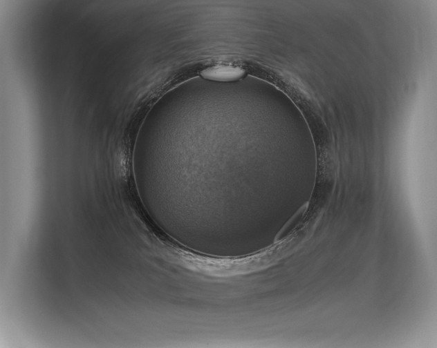 X0000113310039200909211151