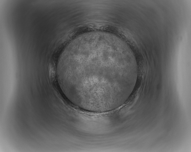 X0000113310040200909211151