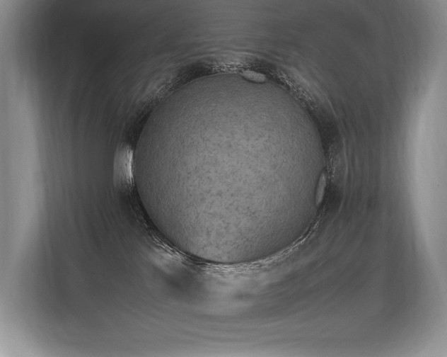 X0000113310041200909211151