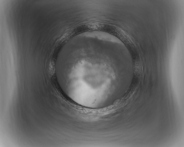 X0000113310043200909211151