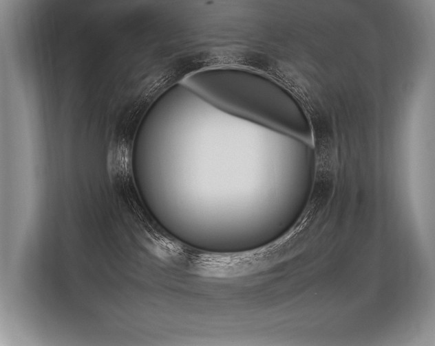 X0000113310045200909211151