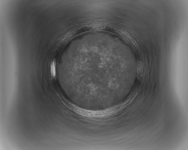 X0000113310046200909211151