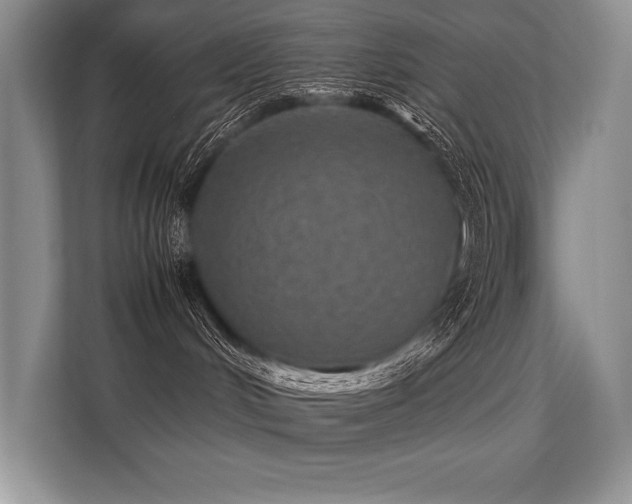 X0000113310048200909211151