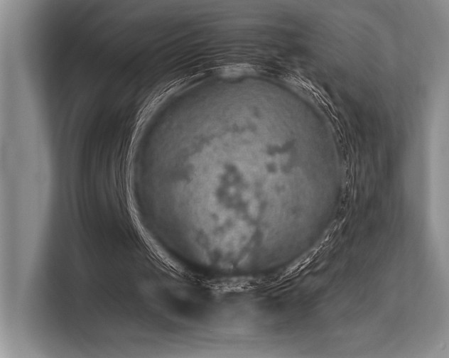 X0000113310049200909211150