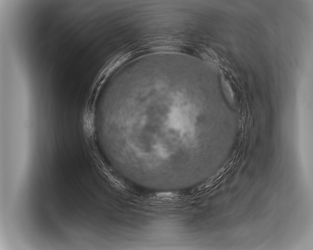 X0000113310050200909211150