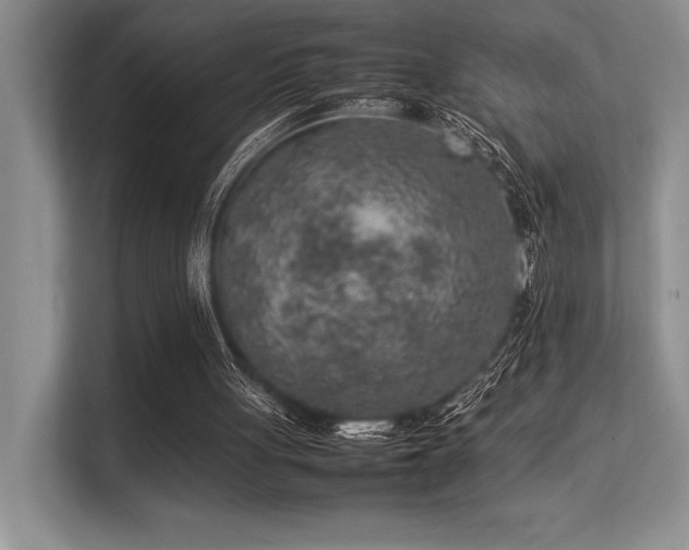 X0000113310051200909211150