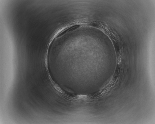 X0000113310052200909211150